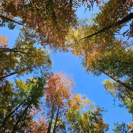 Xxl Familienferienhaus Rechlin